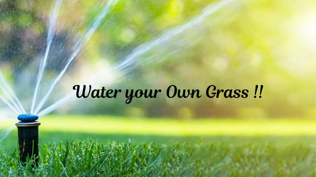 Sprinkler watering the grass